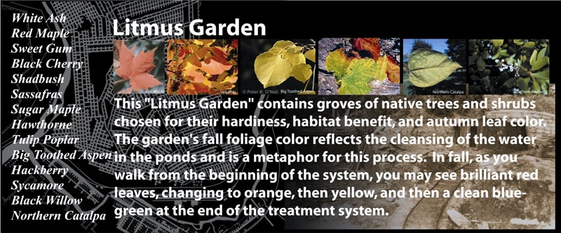 Signage for Litmus Garden
