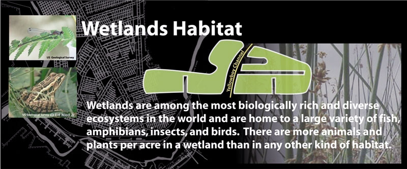 Wetlands Habitat Signage